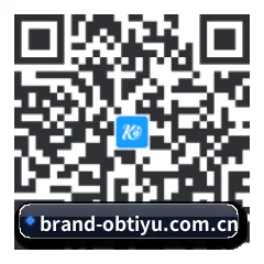 Android 全机型适配版 二维码